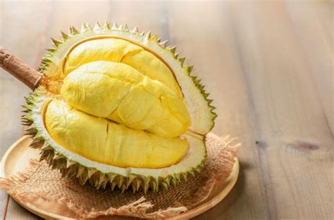 Baner unik durian kocok : Baner Unik Durian Kocok - Resep Alpukat Kocok Menu Dan ...
