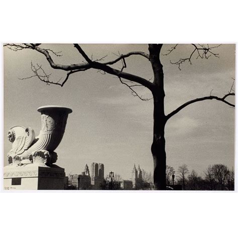 Ilse Bing Central Park Skyline New York City 1936