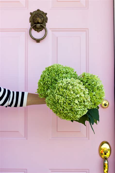 Some great tips and tricks for painting your front door with f&b paints! pink front door farrow and ball paint-4 | Shining on Design