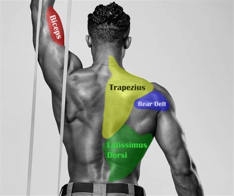 The 6 Best Back Exercises With Resistance Bands Biqbandtraning