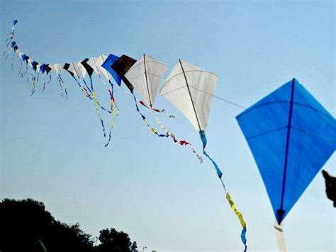 Kites In The Sky India Photos Hindustan Times