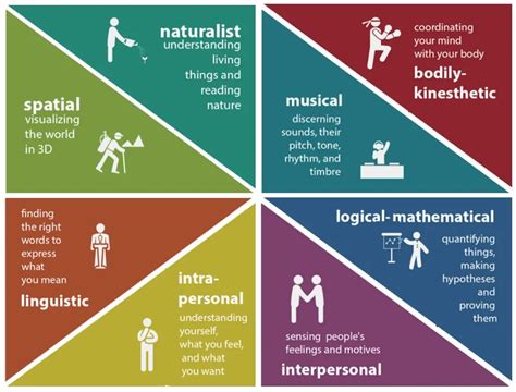 Gardners Theory Of Multiple Intelligences