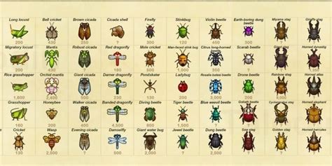 Animal Crossing New Horizons Insects Guide