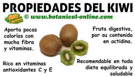 Quais Os Benef Cios Da Fruta Kiwi V Rios Benef Cios