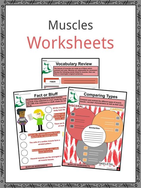 You have more than 600 muscles in your body! Muscles Facts, Worksheets, Number & Types For Kids