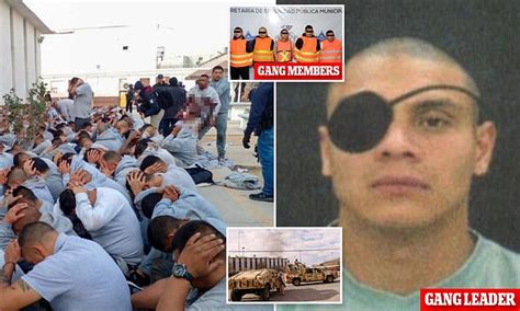 Gang Leader Tied To El Chapo S Old Cartel And Serving A Year