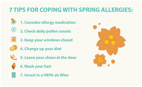 How To Prevent Allergies Possibilityobligation5