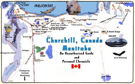 Travel To Churchill Canada Arctic Polar Bears Beluga Whales Birds