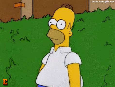 Homer Hiding  Download Make Your Meme With Homer Simpsons