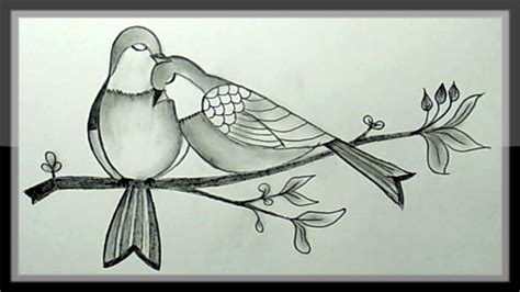 Pencil Drawing How To Draw A Pair Of Beautiful Birds Youtube