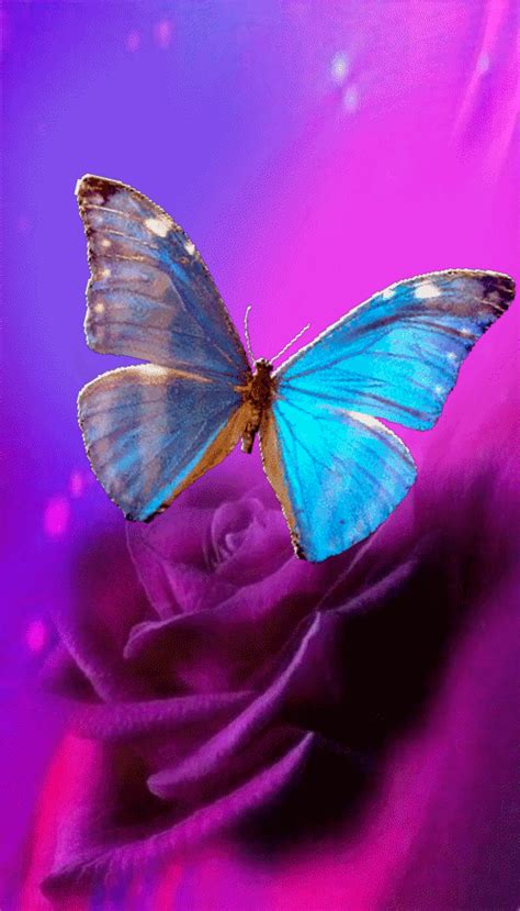 Pink Wallpaper Iphone Butterfly Wallpaper Cute Wallpaper Backgrounds