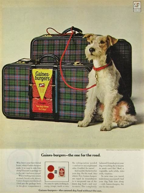 Amazon's choicefor gaines burgers dog food. 1964 Gaines Burgers Dog Food Ad ~ Wire Fox Terrier ...