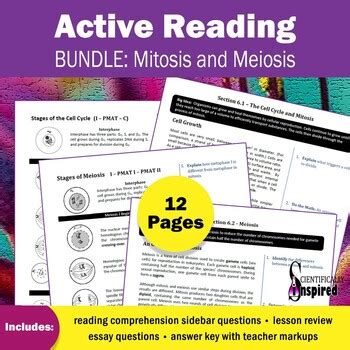 The philosophical chairs activity will allow the students to verbally articulate an argumentative position while specifically using textual evidence in order to be able to defend his. Cell Division Reading Comprehension Worksheet Mitosis And Meiosis Science Answer Key : Let S ...