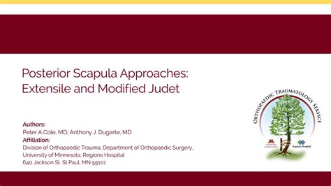 Ota Video Library Posterior Scapula Approaches Extensile And