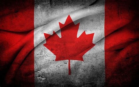 Palestina bendera 3d apl android. Bendera Palestina Wallpapers - Wallpaper Cave