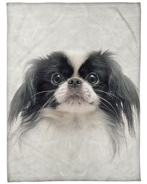 Japanese Chin Face 3d