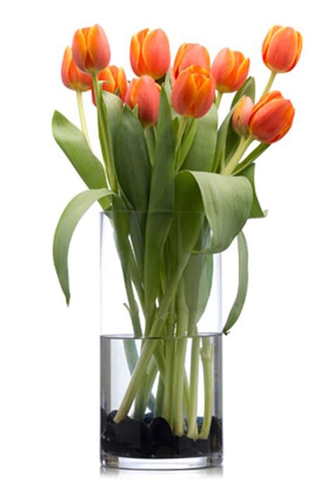 A good florist uses a vase solution that provides food and has antibacterial properties. How to Make Cut Flowers Last Longer? | Pouted.com