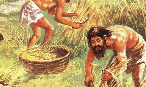 El Origen De La Agricultura Y La Revolución Del Neolítico Universidad