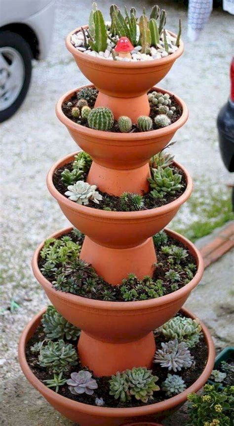 2030 Outdoor Succulents In Pots