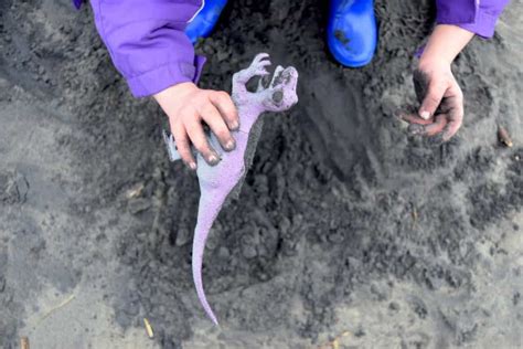 Dig For Dinosaurs—and Become The Coolest Mom At The Beach