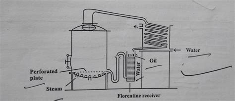 Steam Distillation How It Works