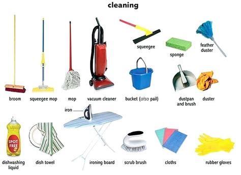 What Cleaning Items Do I Really Need In My House