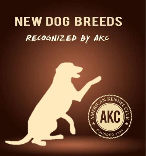 11 Newest Dog Breeds Recognized By Akc Till 2016 Hubpages
