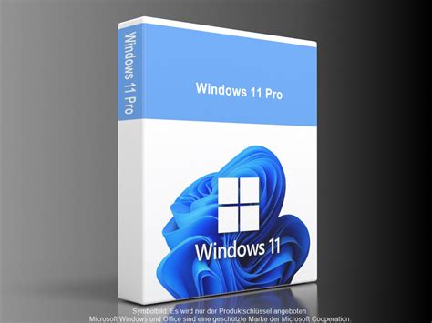 Microsoft Windows 11 Pro 64 Bit Oem Dvd With Activation Key 49 Off