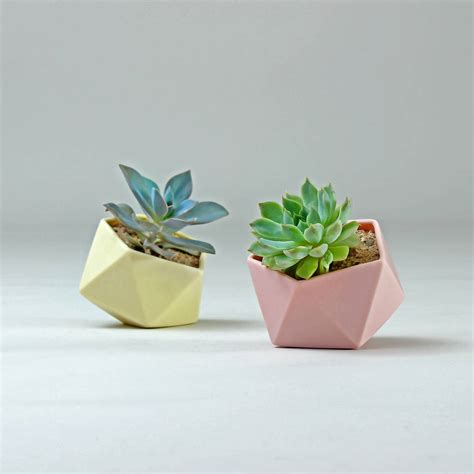 Find images of flower pots. Geometric Tilted Icosahedron Ceramic Pot By Jack Laverick ...