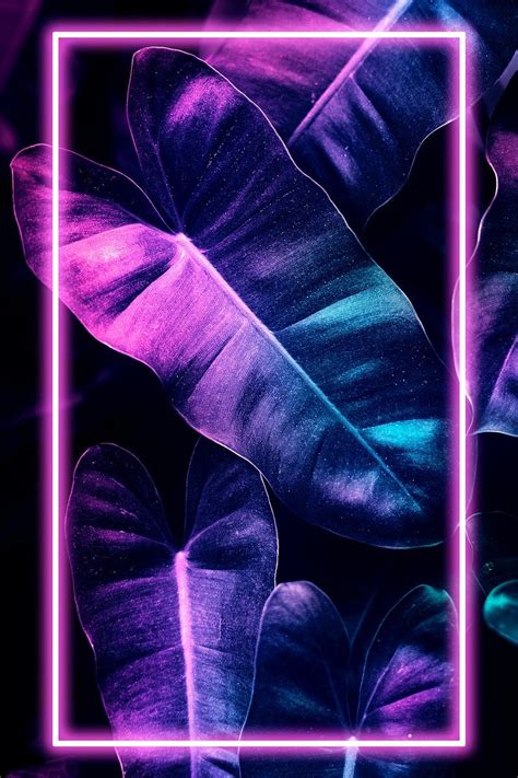 Neon Tropical Anthurium Leaves Frame Premium Image By