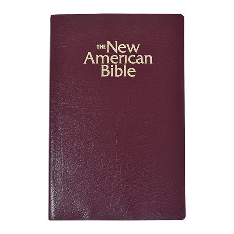 Bible St Joseph New American Nabre T And Award Edition Burg Ave