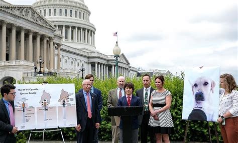 Great Momentum To Ban M 44 Cyanide Bombs Two Bills In Congress And Hearing Held