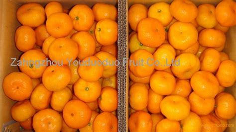 Baby Mandarinmandarin Orangefruit From China Selling Leads