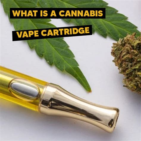 What Is A Cannabis Vape Cartridge Mixr Resin Liquidizer