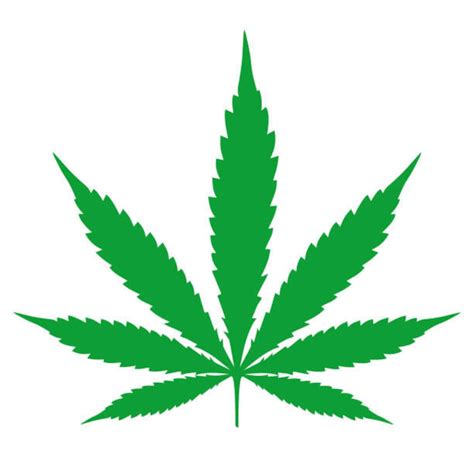 Weed Bundle Svg Dope Bundle Svg Cannabis 420 Svg File For Etsy