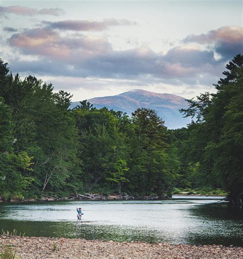 Man Fly Fishing On Saco River In North Conway New Hampshire 2