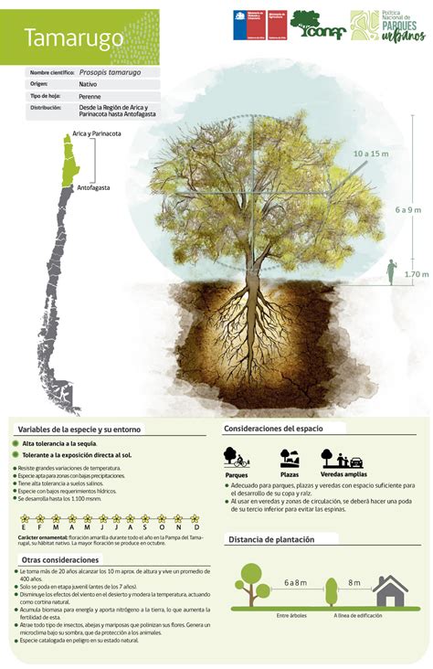 Maybe you would like to learn more about one of these? Tamarugo - Ministerio de Vivienda y Urbanismo