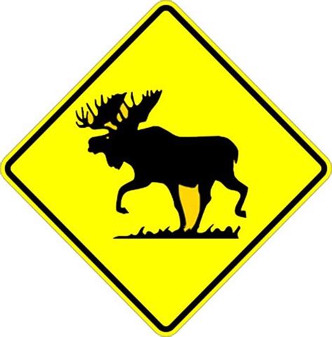 Traffic Signs And Safety W11 16 24x24 Moose