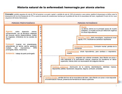 Historia Natural De La Enfermedad De Sepsis Puerperal Taquipnea