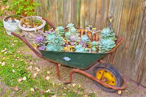 25 Wheelbarrow Planter Ideas For Your Garden Garden