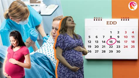 edd from lmp calculation calculate your due date and average length of pregnancy garbhgyan