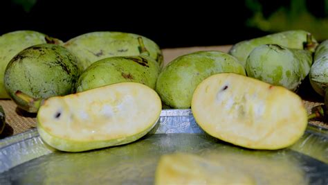 What Is A Pawpaw Fruit Where To Buy And How To Eat The Tropical Fruit