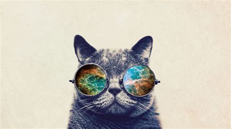 Hipster Cat Wallpapers Top Free Hipster Cat Backgrounds Wallpaperaccess