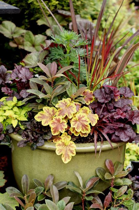 Pin On Container Gardens