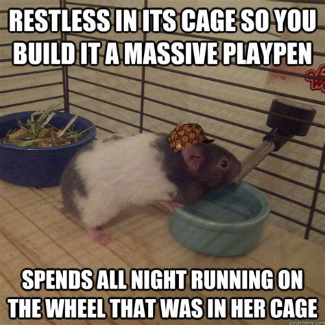 Restless In Its Cage So You Build It A Massive Playpen