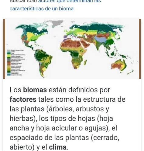 Factores que determinan las características de los biomas Brainly lat