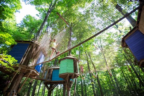Treetop Trekking, with roots in our region, nets international award ...