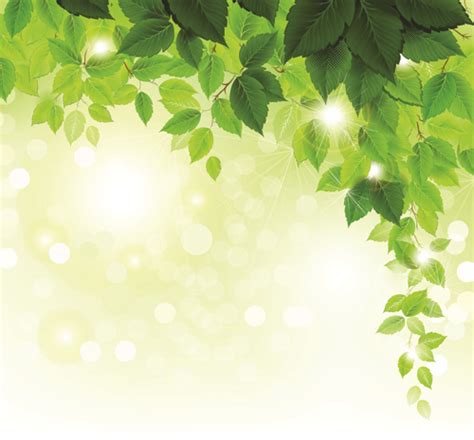 Refreshing Green Leaves Background Vector 01 Vector