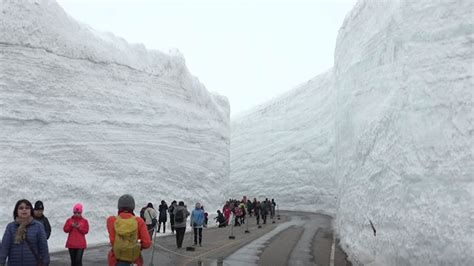 Route Through Towering Snow Canyon Opens In Japanese Mountains The