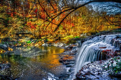 River Shoals Stones Waterfall Forest Tree Yellow Red
